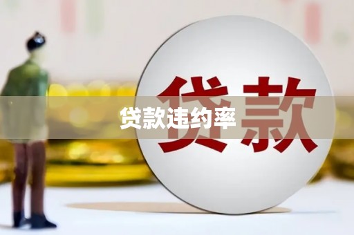 拉孜贷款违约率