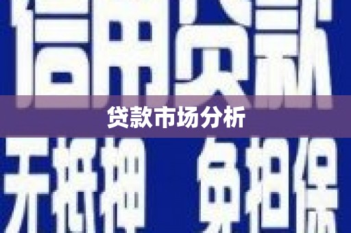 拉孜贷款市场分析