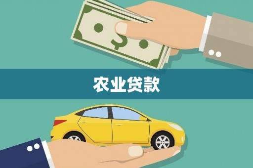 拉孜农业贷款