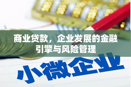 拉孜商业贷款，企业发展的金融引擎与风险管理