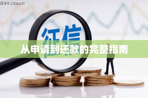拉孜从申请到还款的完整指南