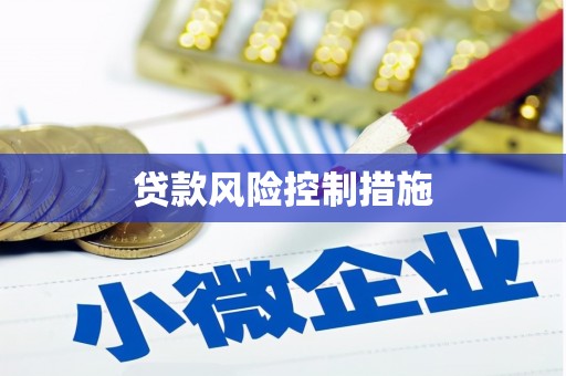 拉孜贷款风险控制措施