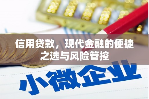 拉孜信用贷款，现代金融的便捷之选与风险管控