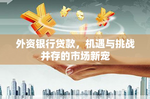 拉孜外资银行贷款，机遇与挑战并存的市场新宠
