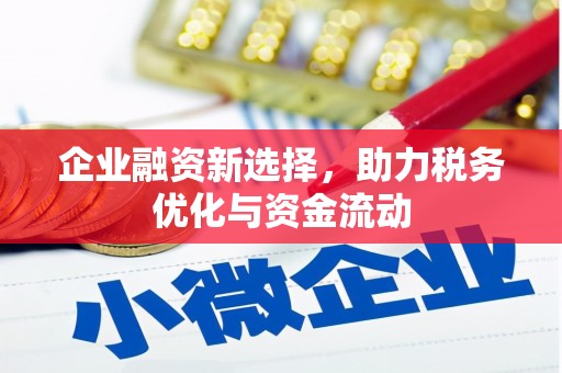 拉孜企业融资新选择，助力税务优化与资金流动