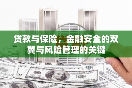 拉孜贷款与保险，金融安全的双翼与风险管理的关键