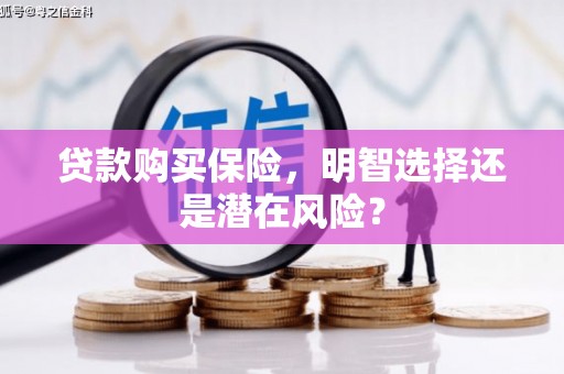 拉孜贷款购买保险，明智选择还是潜在风险？