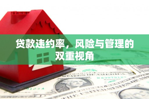 拉孜贷款违约率，风险与管理的双重视角