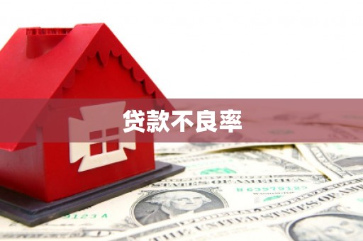 拉孜贷款不良率