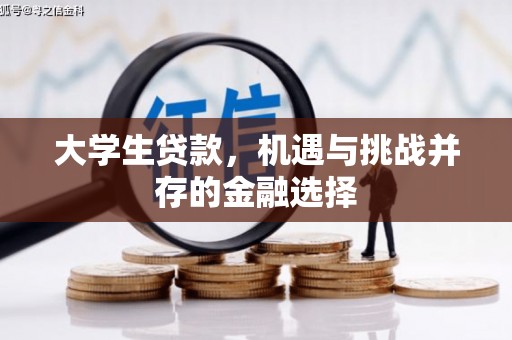 拉孜大学生贷款，机遇与挑战并存的金融选择