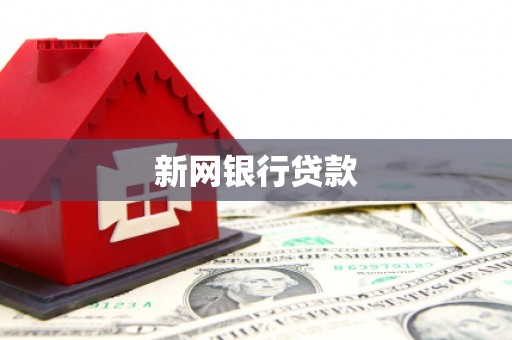 拉孜新网银行贷款