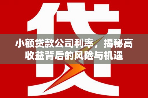 拉孜小额贷款公司利率，揭秘高收益背后的风险与机遇