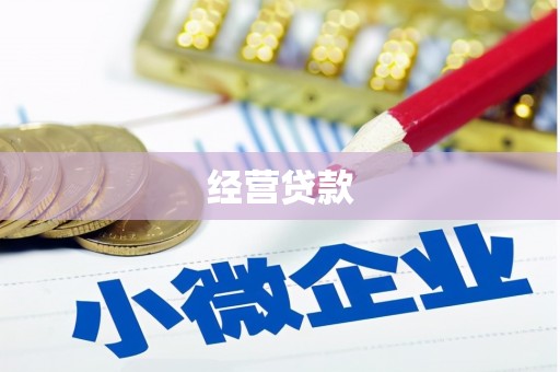 拉孜经营贷款
