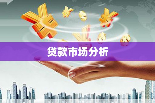 拉孜贷款市场分析