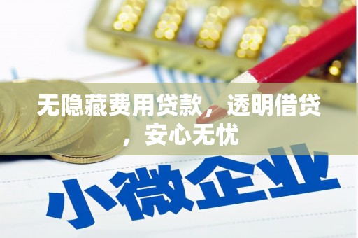 拉孜无隐藏费用贷款，透明借贷，安心无忧