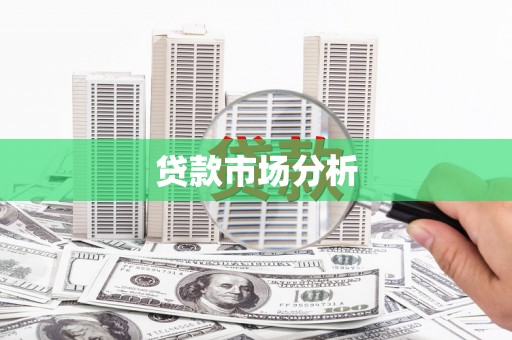 拉孜贷款市场分析