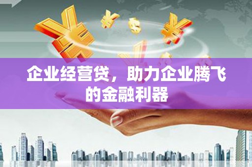 拉孜企业经营贷，助力企业腾飞的金融利器