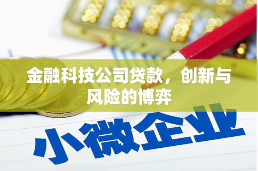 拉孜金融科技公司贷款，创新与风险的博弈