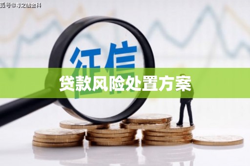 拉孜贷款风险处置方案