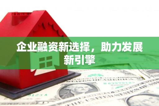 拉孜企业融资新选择，助力发展新引擎