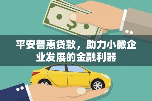 拉孜平安普惠贷款，助力小微企业发展的金融利器