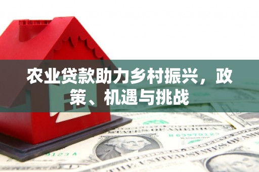 拉孜农业贷款助力乡村振兴，政策、机遇与挑战