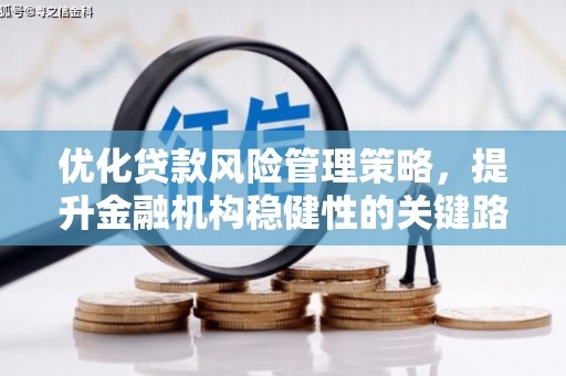 拉孜优化贷款风险管理策略，提升金融机构稳健性的关键路径