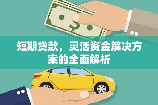 拉孜短期贷款，灵活资金解决方案的全面解析