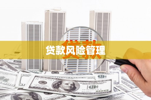 拉孜贷款风险管理