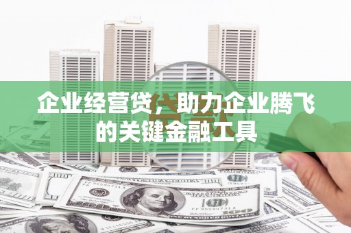 拉孜企业经营贷，助力企业腾飞的关键金融工具