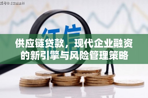 拉孜供应链贷款，现代企业融资的新引擎与风险管理策略