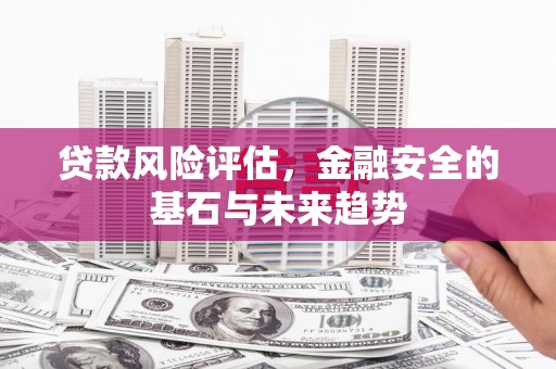 拉孜贷款风险评估，金融安全的基石与未来趋势