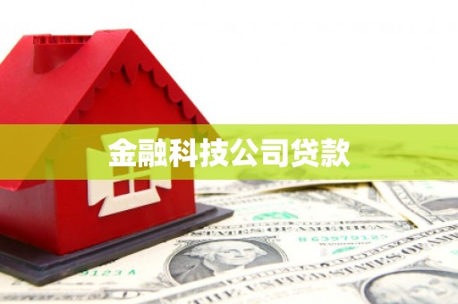 拉孜金融科技公司贷款