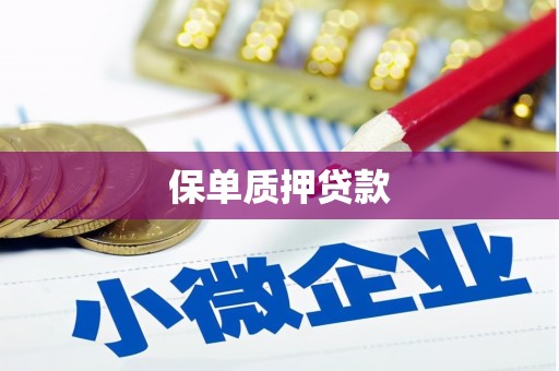 拉孜保单质押贷款
