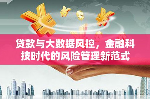 拉孜贷款与大数据风控，金融科技时代的风险管理新范式