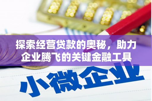 拉孜探索经营贷款的奥秘，助力企业腾飞的关键金融工具