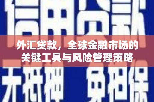 拉孜外汇贷款，全球金融市场的关键工具与风险管理策略