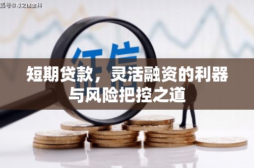 拉孜短期贷款，灵活融资的利器与风险把控之道