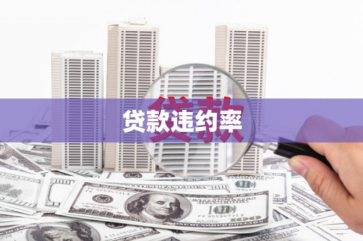 拉孜贷款违约率