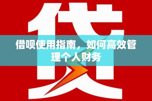 拉孜借呗使用指南，如何高效管理个人财务