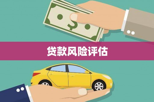 拉孜贷款风险评估