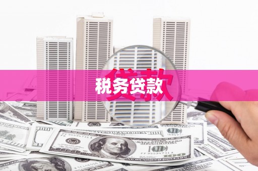 拉孜税务贷款