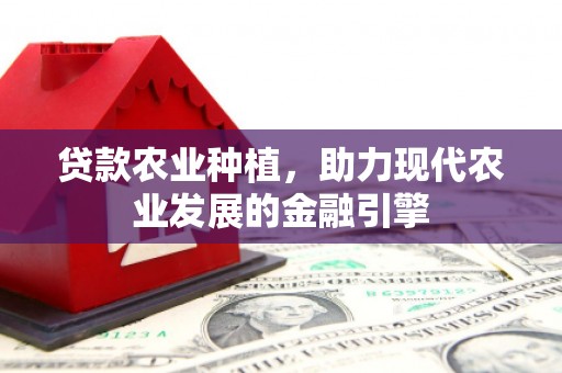 拉孜贷款农业种植，助力现代农业发展的金融引擎