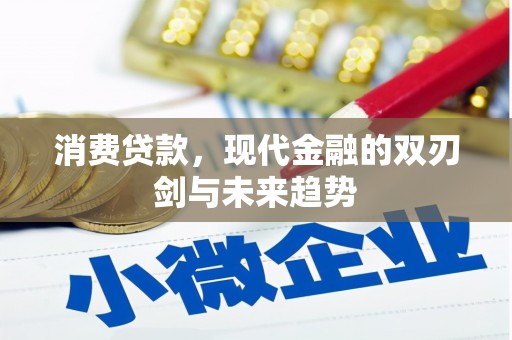 拉孜消费贷款，现代金融的双刃剑与未来趋势