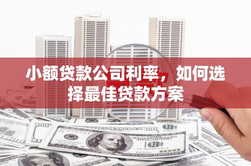 拉孜小额贷款公司利率，如何选择最佳贷款方案
