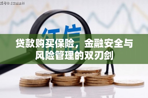 拉孜贷款购买保险，金融安全与风险管理的双刃剑