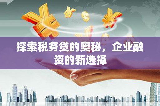 拉孜探索税务贷的奥秘，企业融资的新选择