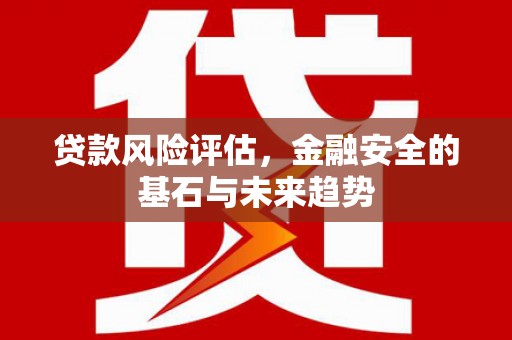拉孜贷款风险评估，金融安全的基石与未来趋势