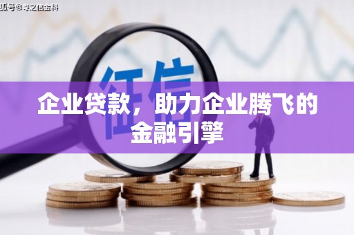 拉孜企业贷款，助力企业腾飞的金融引擎