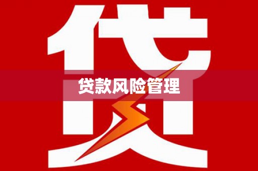 拉孜贷款风险管理